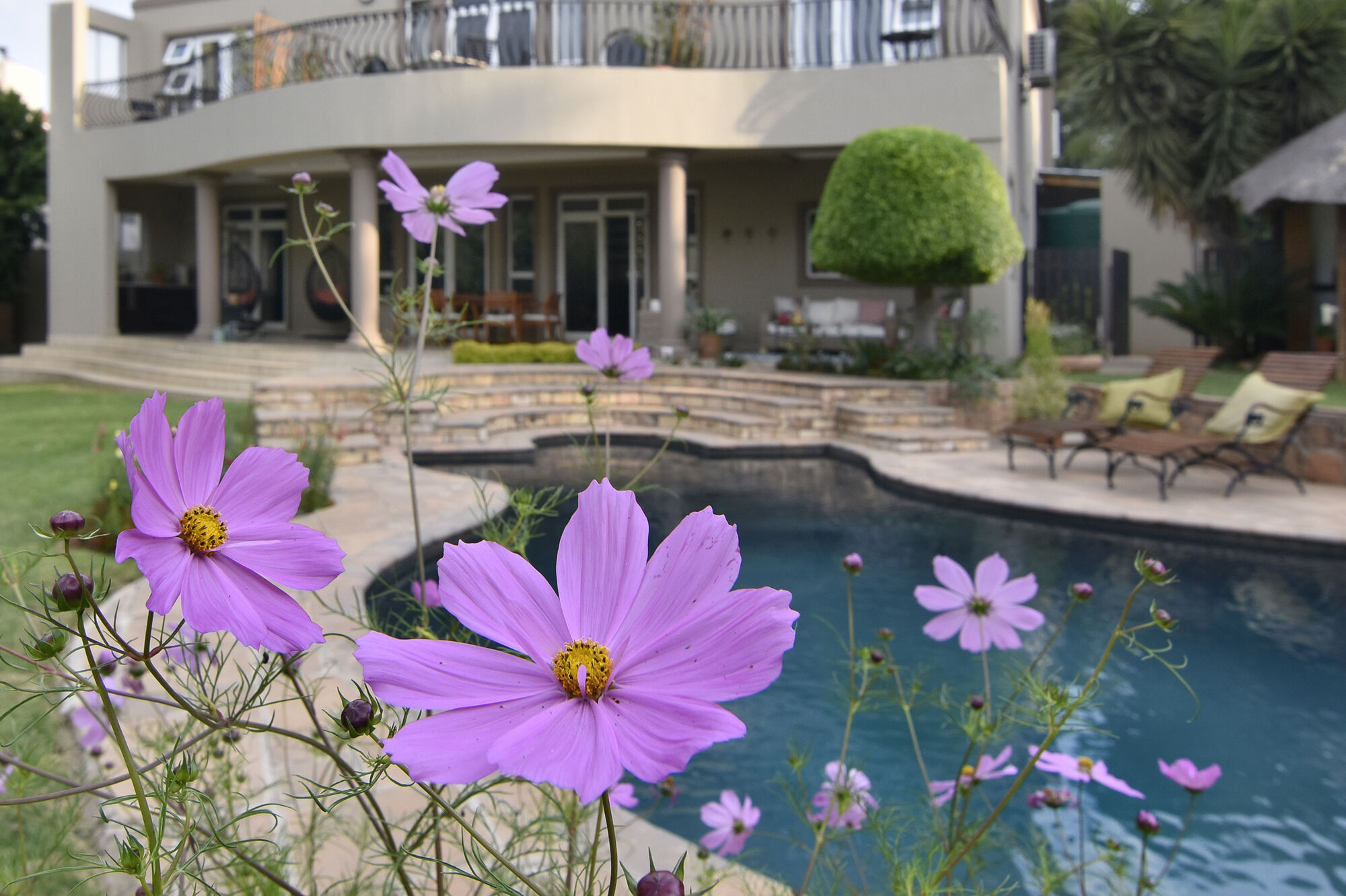 Sandown Guest House garden