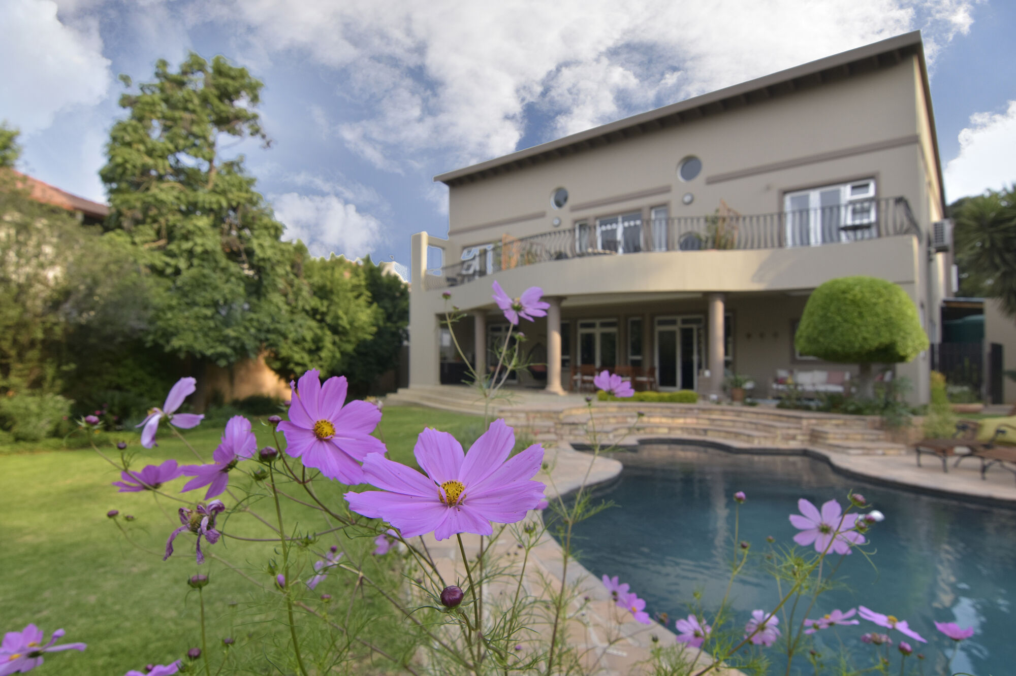 Sandown Guest House garden second angle